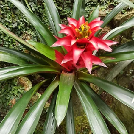 Apartamento Mirage *