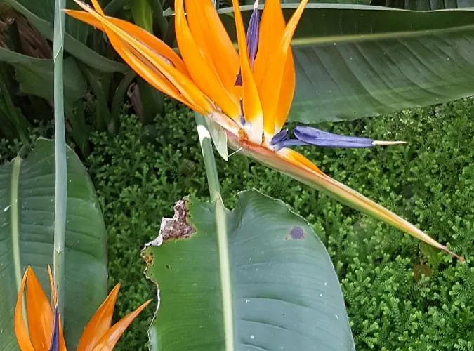 Mirage Апартаменты Остенде